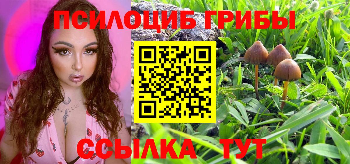 Галлюциногенные грибы прущие грибы Гудермес