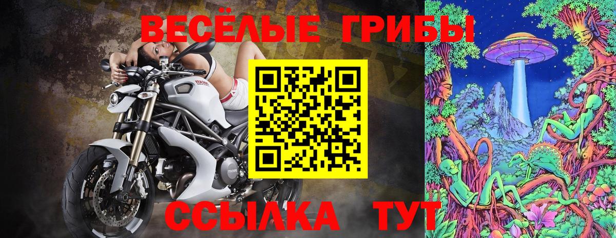 Псилоцибиновые грибы ЛСД  Псилоцибиновые грибы MAGIC MUSHROOMS  Вход с VPN  Гудермес 
